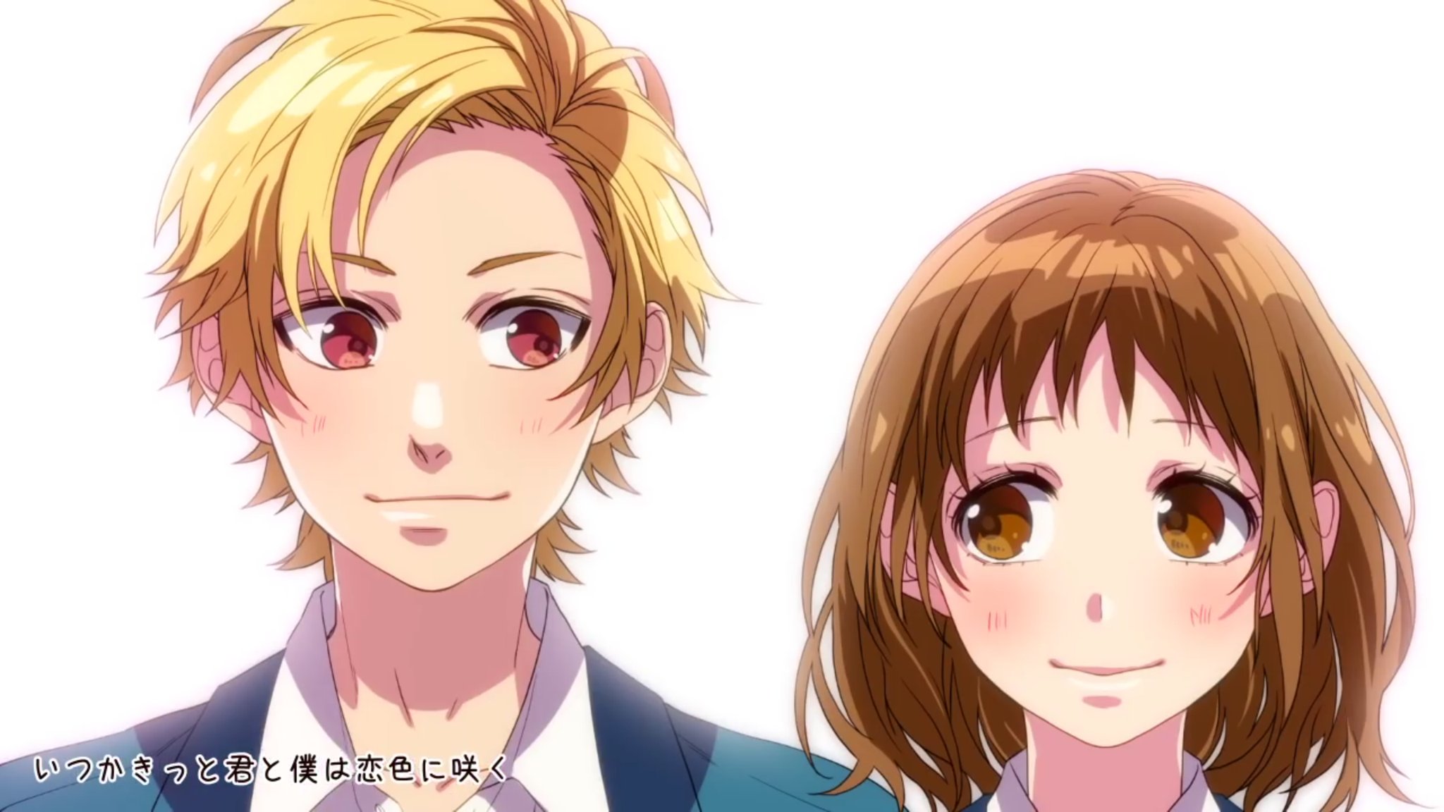 かふぇお on X: かふぇお on X:
