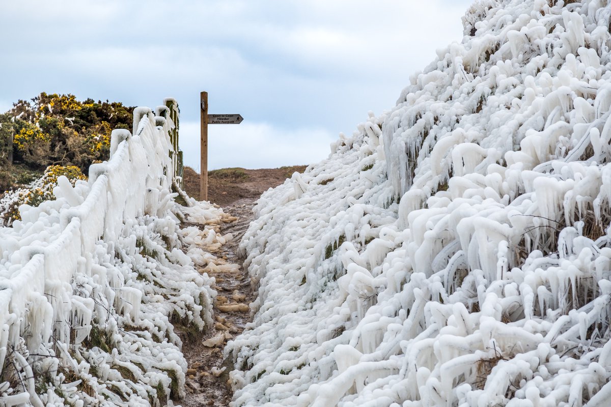 WhitbyPhotos's tweet photo. Maw Wyke Ice On The Cleveland Way. The Yorkshire Coast Roughly Half Way between Whitby And Robin Hoods Bay.

#whitby #northyorkmoors #BeastFromTheEast2 #beastfromtheast #BeastFromTheEast3 #yorkshire #weather #stormhour #nationaltrust https://t.co/tYeQFQGRFQ