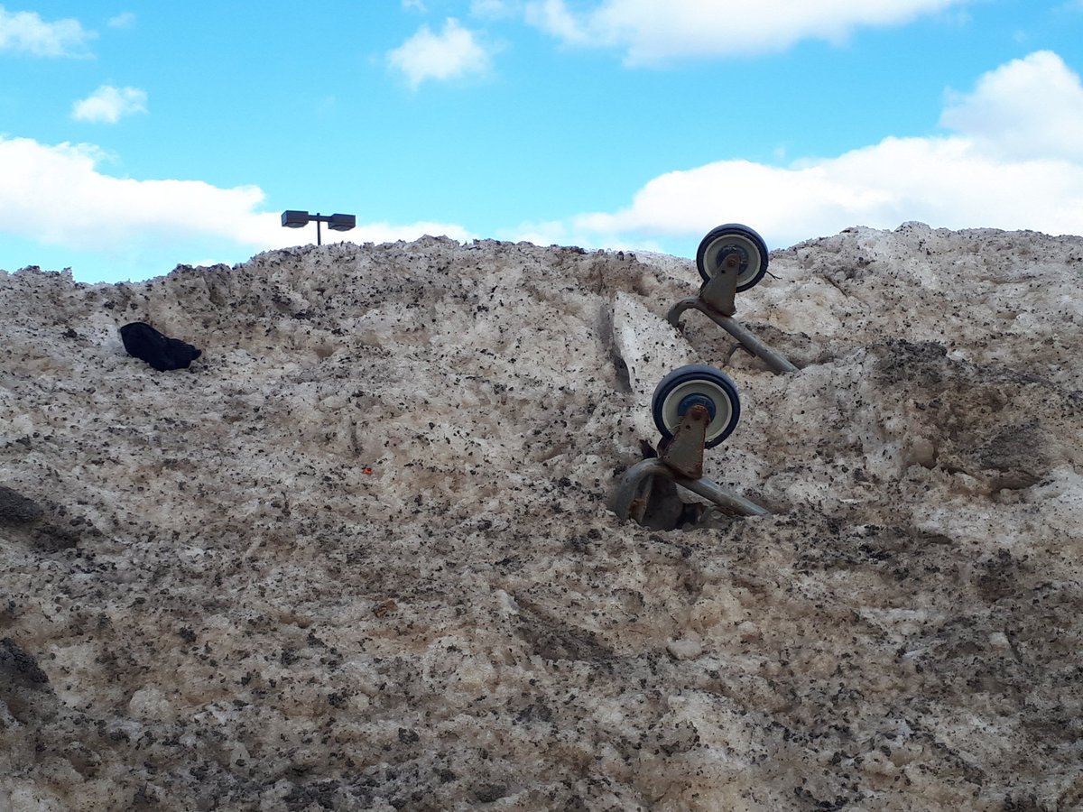 Mark Quinn tweet media