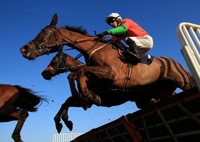 wildduckinn's tweet photo. VWH point to point this Saturday. Join us for the after party.....
.
.
.
#pointtopoint #vwh #cotswolds #racing #countrypub #dj #bbq #dancing #theluckyonion https://t.co/RQiWle1uyz