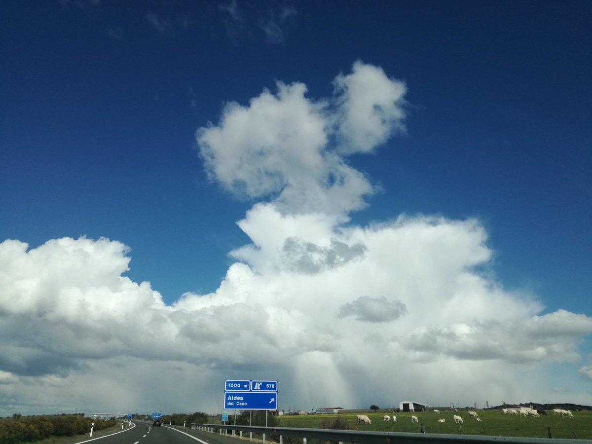 carmenromg's tweet photo. @tiempobrasero Precioso paisaje camino de Cáceres. #Primavera2018 https://t.co/Ug411yzGLO