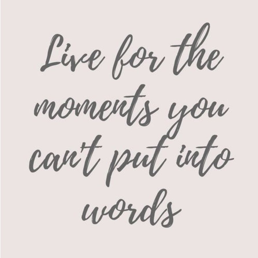 PadmaCoram's tweet photo. Happy #internationaldayofhappiness 
Choose the moments that take your breath away, choose gratitude, choose joy, choose love, choose peace, because these are all the by product of what makes happiness!

#mindfulness #gratitude #happiness #thechoiceisours https://t.co/BDbSWhSxXJ