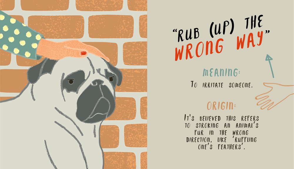 10 bizarre English sayings and what they mean [infographic] 
goo.gl/9rc3Wf