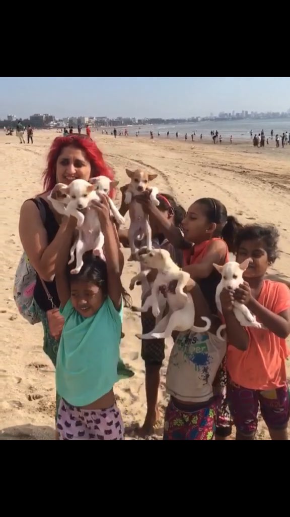 #puppylove #cutenessOVERLOAD #mykids #their #Homes #puppiesoftwitter #ThrowBackTuesday #Feburary #Versova #Beach #kidsITeach #dogsarelove #DogsOfTwitter #DogLover #2018 #videostill #cuteness #slumkids #love #whenyou #donthavemuch 🤗😍☮️ #lovethem #innocence ✌️#XOXO 🤗