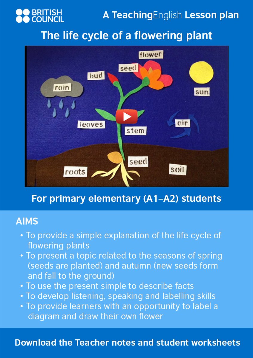 plant-anatomy-worksheets-anatomical-charts-posters