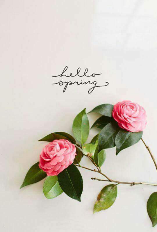 Mieke Siegersma (@mieke_siegersma) on Twitter photo 