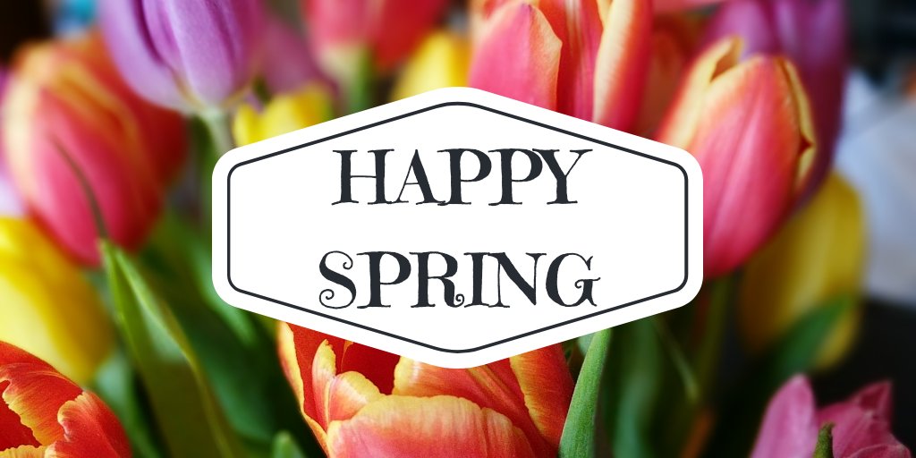 RebeccaMediates's tweet photo. #Happyspring from all of us at The Guidance Office https://t.co/IJ3lyiRfJz