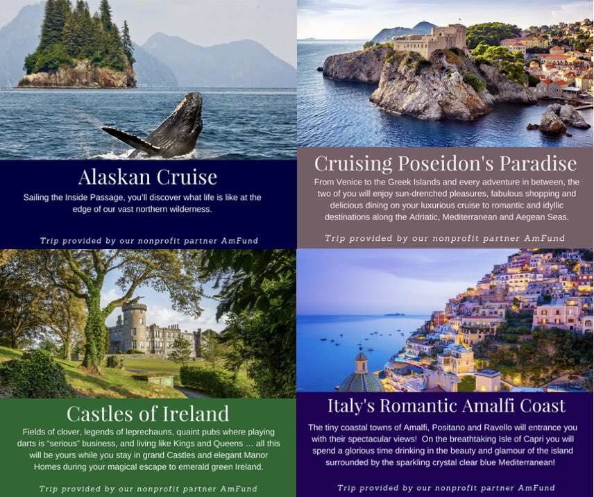 NicRoldan's tweet photo. Check out these amazing trips which @AmFund501c3 have provided to auction off at Friday’s #NicRoldan’s #SunsetPolo & White Party to benefit @BrookeUSAorg ✈️ 🌍 🚤 #SunsetPolo #NicRoldan #WhiteParty https://t.co/TYSOYRQeTe