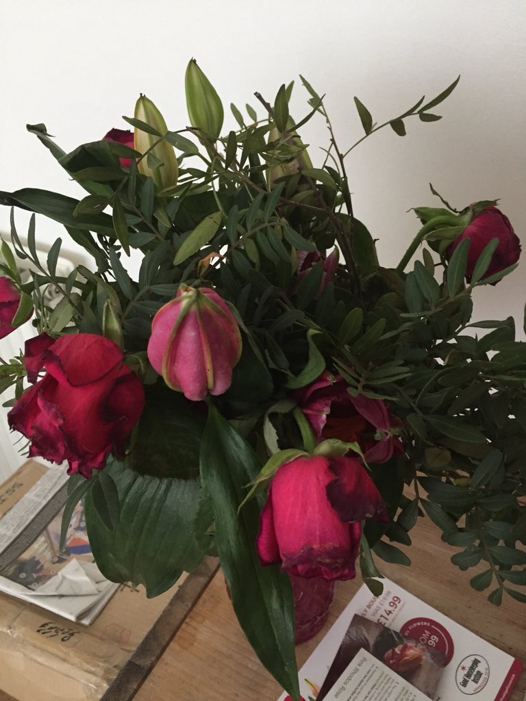 Mirs1981's tweet photo. Do not purchase flowers from @prestigeflowers Shoddy ‘florists’!!!! I have purchased better flowers from a petrol station. Still refusing me a refund, despite flowers looking nothing like on their site!! Not exactly ‘cheer you up’ flowers are they?! #RT #tradingstandards https://t.co/dE4yOjjUoy