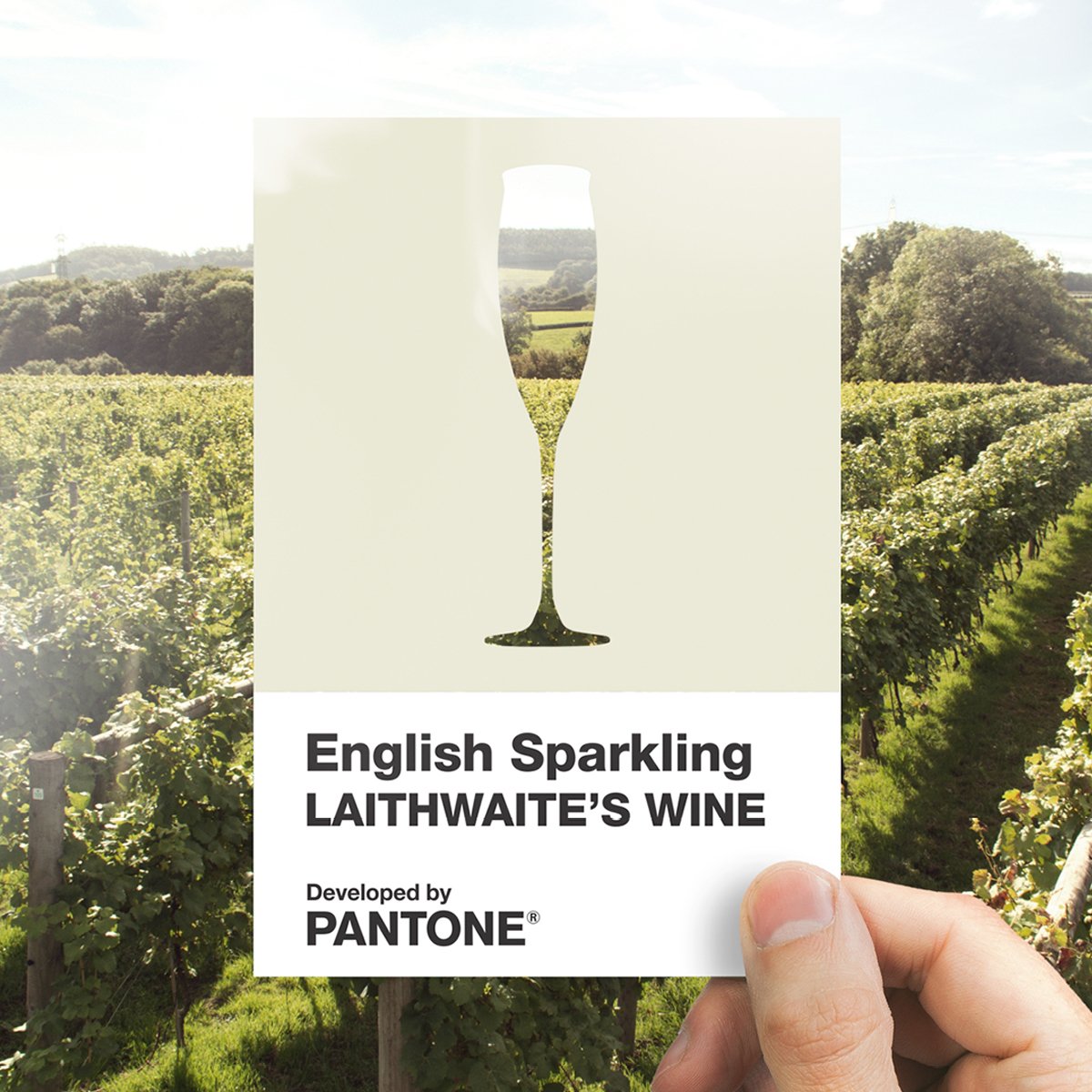 Laithwaites tweet media