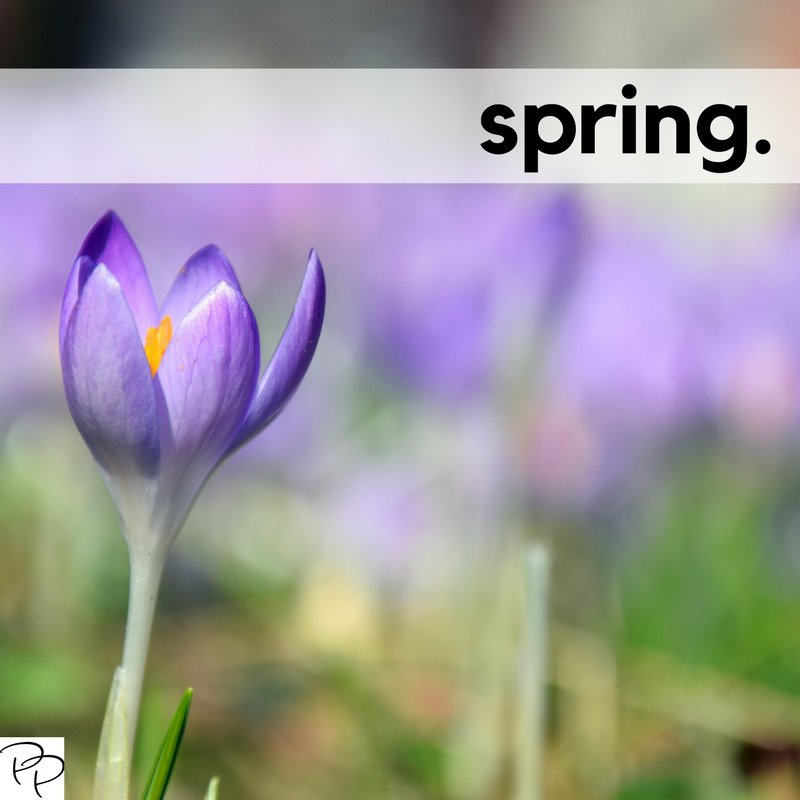 KatePhilipsCo's tweet photo. Despite the forecast, live like it's spring. ~ Lily Pulitzer

#HappySpring #firstdayofspring #DoesntFeelLikeSpring #ParkerPhilips https://t.co/56dLs5dDZh