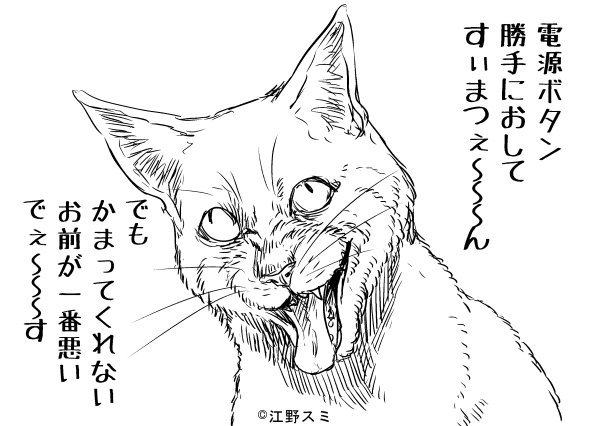 叱られている猫 