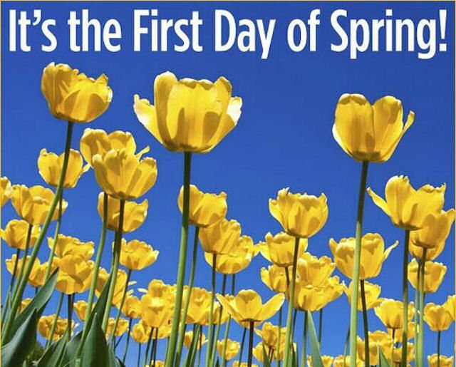 EmbroidmeW's tweet image. Spring is finally here! What are you looking forward to the most? #Spring