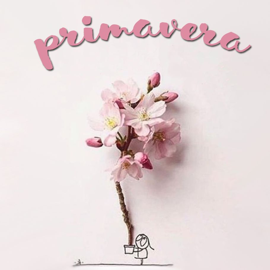 LosmaStudio's tweet photo. Ya es primavera 🌸🌺
#yaesprimavera #finallyspring #spring #primavera #balcones #pisodelujo #fabricademadera #losmastudio https://t.co/oSOReqdlyF