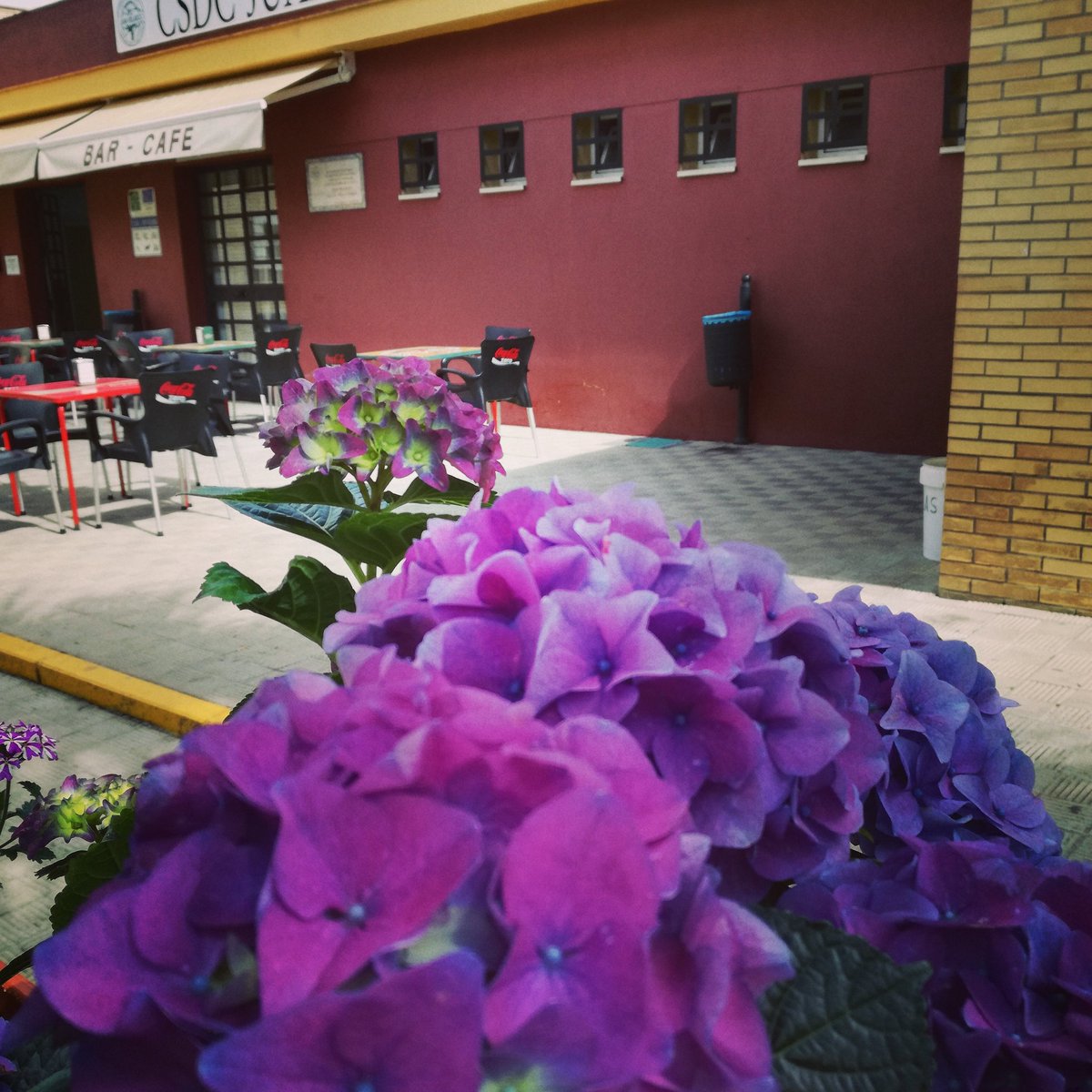 CSDCJUANVELASCO's tweet photo. Te damos la bienvenida,ansiabamos tu llegada. #Primavera #springs #FelizPrimavera #DosHermanas #flowers #flores https://t.co/3kwbtZF9pU