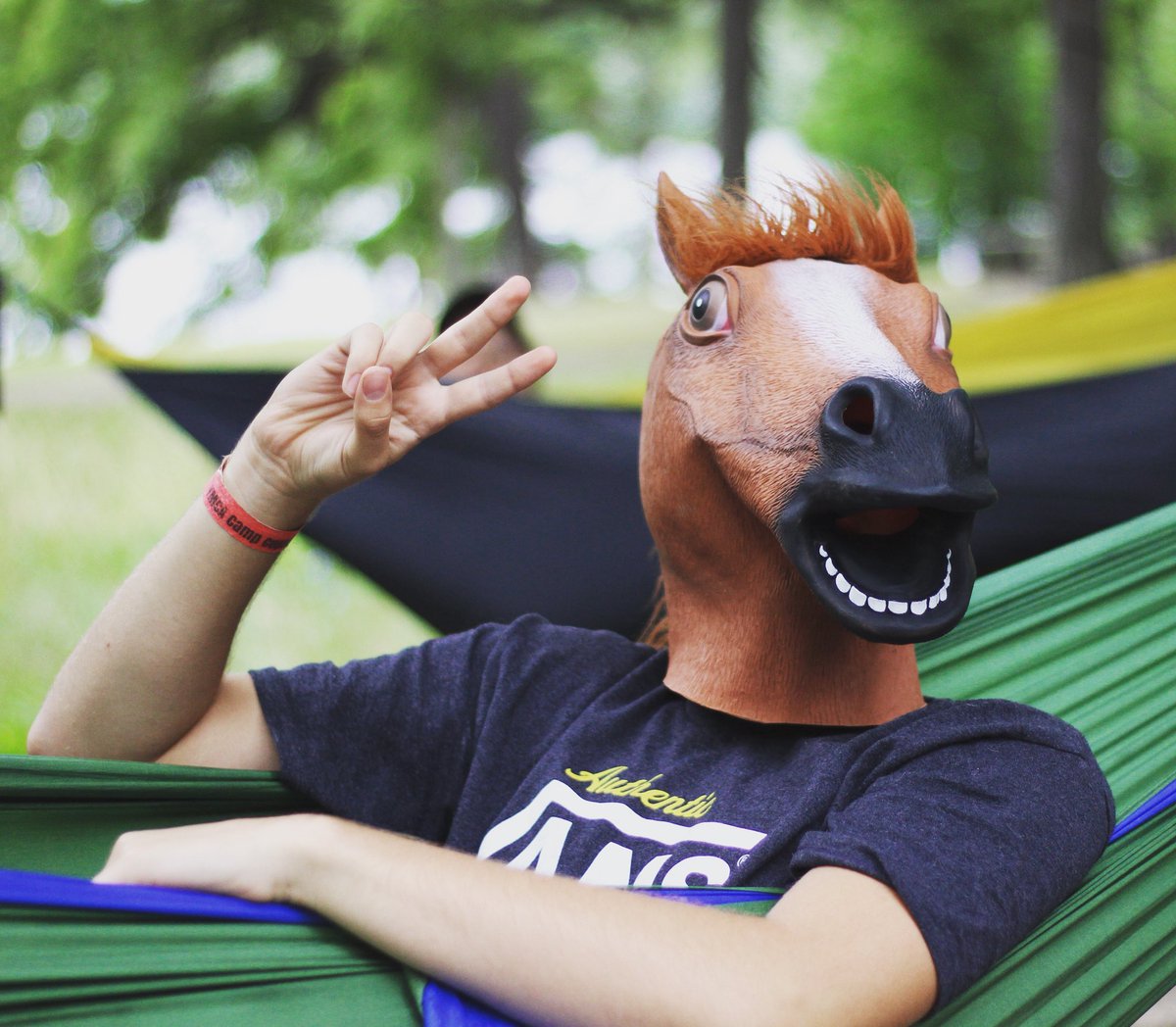MichiganYcamps's tweet photo. Peace out with the HORSES. What a great shot #miycamps https://t.co/EltcemfiDx
