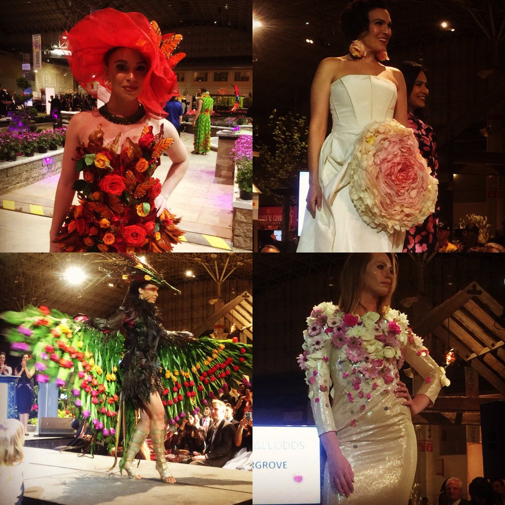 gagasgarden's tweet photo. @floriani_brian Thank-you for all you do for #BerniesBookBank literacy for kids, such a worthy cause. We were sponsored by @JacksonPerkins to attend your fund raiser ‘Evening In Bloom’ @ChicagoFlower, it was so lovely. Thx @AbruscatoTony #chicagoflower #jacksonandperkins #jprose https://t.co/yfuyCmWuVe