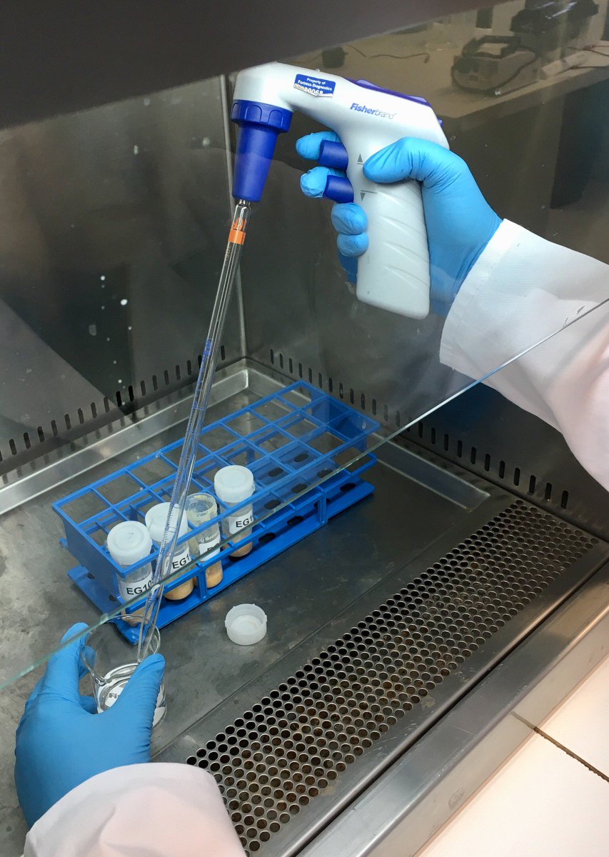 BiorexFood's tweet image. We are shooting a new video today to show how easy our Fipronil test kit is to run.....watch this space for our step by step guide coming soon!  #EggTesting #FoodSafety