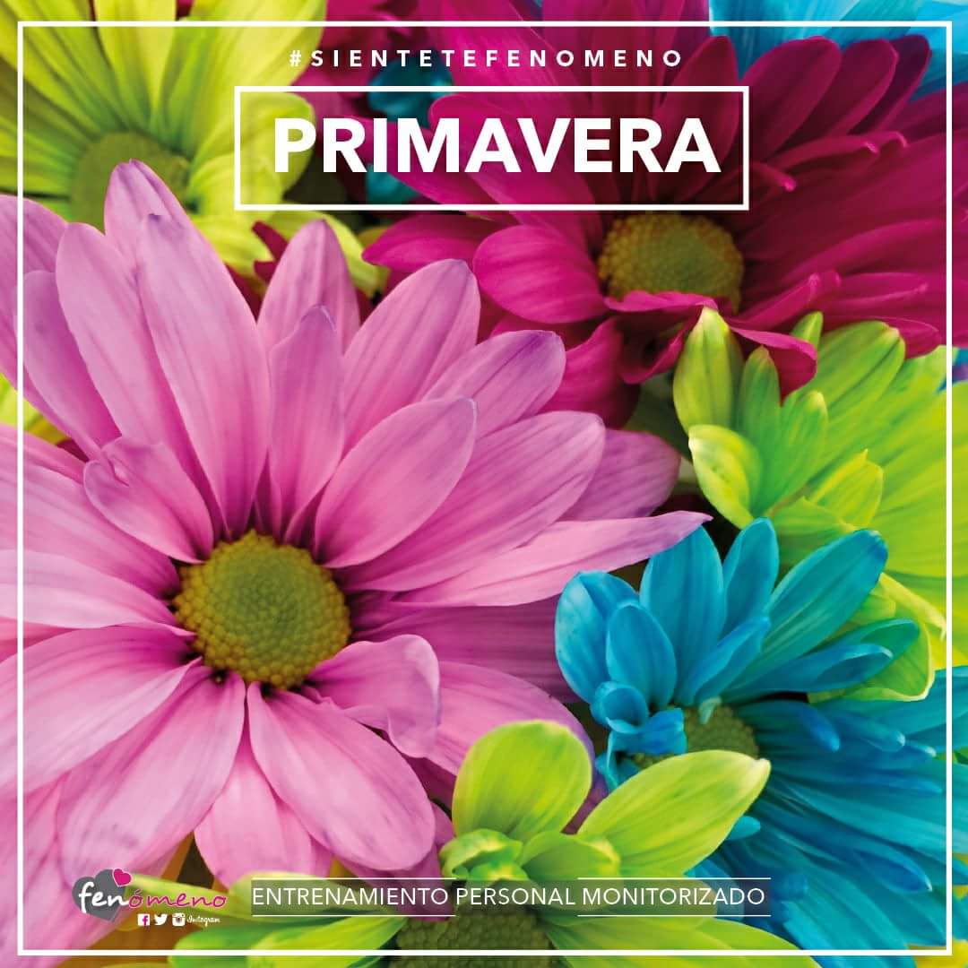 Aunque no lo parezca, ya estamos oficialmente en ¡¡ PRIMAVERA!! 🏵🐝🌼🐞🌸🐌🌺💮
El momento ideal para COMENZAR UN PROGRAMA DE ACTIVIDAD FÍSICA! Bye bye "EXCUSAS"... 
¡ Bienvenida Primavera! #sientetefenomeno
🅔🅝🅣🅡🅔🅝🅐🅜🅘🅔🅝🅣🅞 🅟🅔🅡🅢🅞🅝🅐🅛  🅜🅞🅝🅘🅣🅞🅡🅘🅩🅐🅓🅞