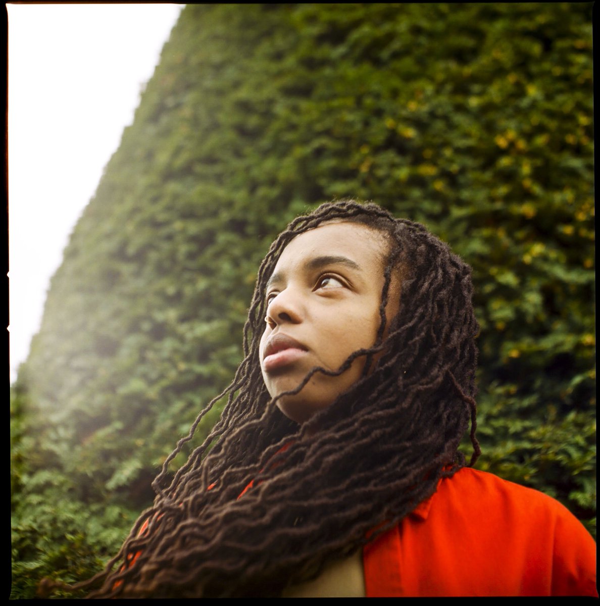 Convergence tweet media