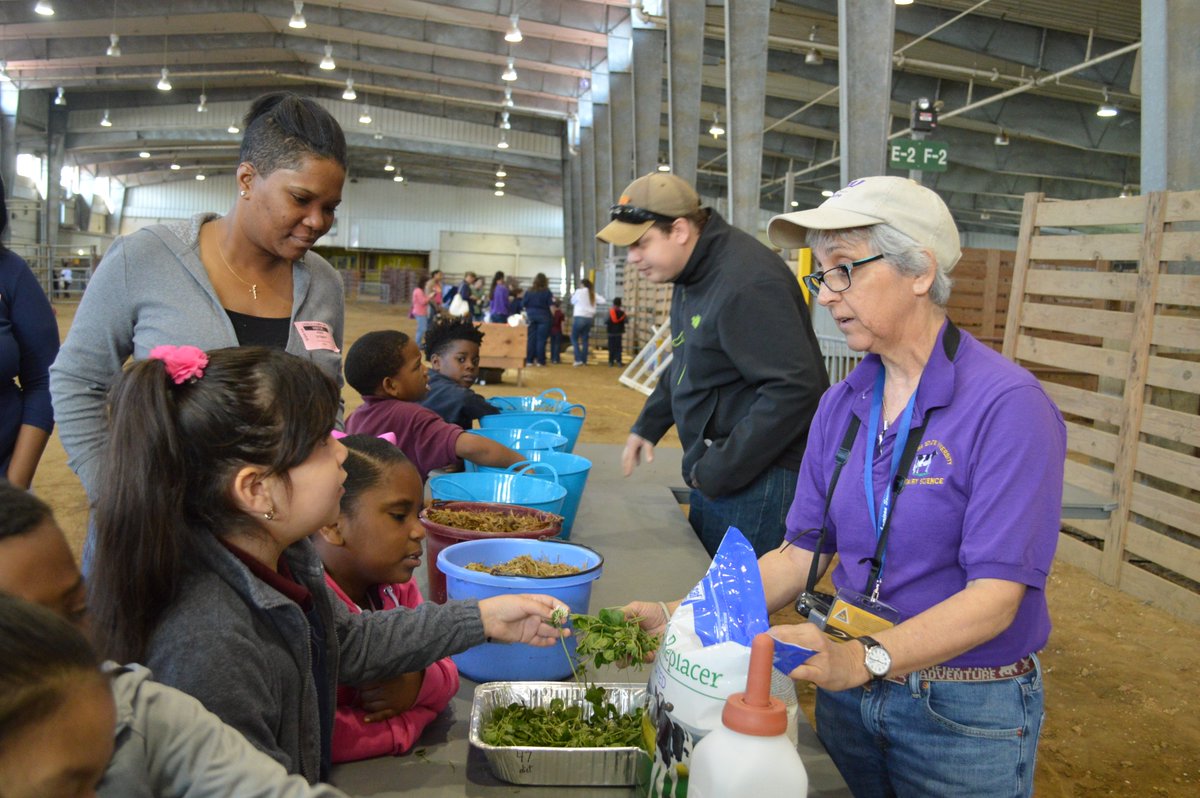 LSUCollegeofAg's tweet photo. We're celebrating #NationalAgDay and #LSUAgWeek with students visiting farm animals, writing thank you cards to farmers and participating in fun farm activities! #agday2018 https://t.co/GiDjG61HgQ