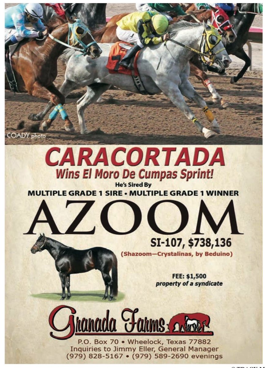 GranadaFarms's tweet image. TRACK Magazine Monday Report. CARACORTADA by #Azoom winning the El Moro de Cumpas Sprint! Congratulations to the connections! 

Multiple Grade 1 Sire, AZOOM (Shazoom-Crystalinas, by Beduino) 2018 FEE: $1,500 visit granadafarms.com/azoom for more information
