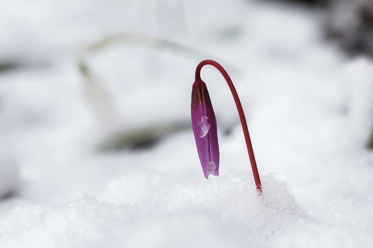 Visit Cluj tweet media