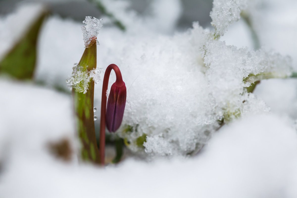 Visit Cluj tweet media