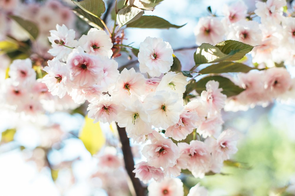 CandS_Insurance's tweet photo. Happy first day of #Spring🌷 Spring showers bring... Property damage? Find out what you can do to help avoid the hassle and expense of cleaning up after leaky roofs and flooded homes: https://t.co/0AaOoxowct #homeowners #insurance #firstdayofspring #propertydamage https://t.co/QBqcWUEpAt