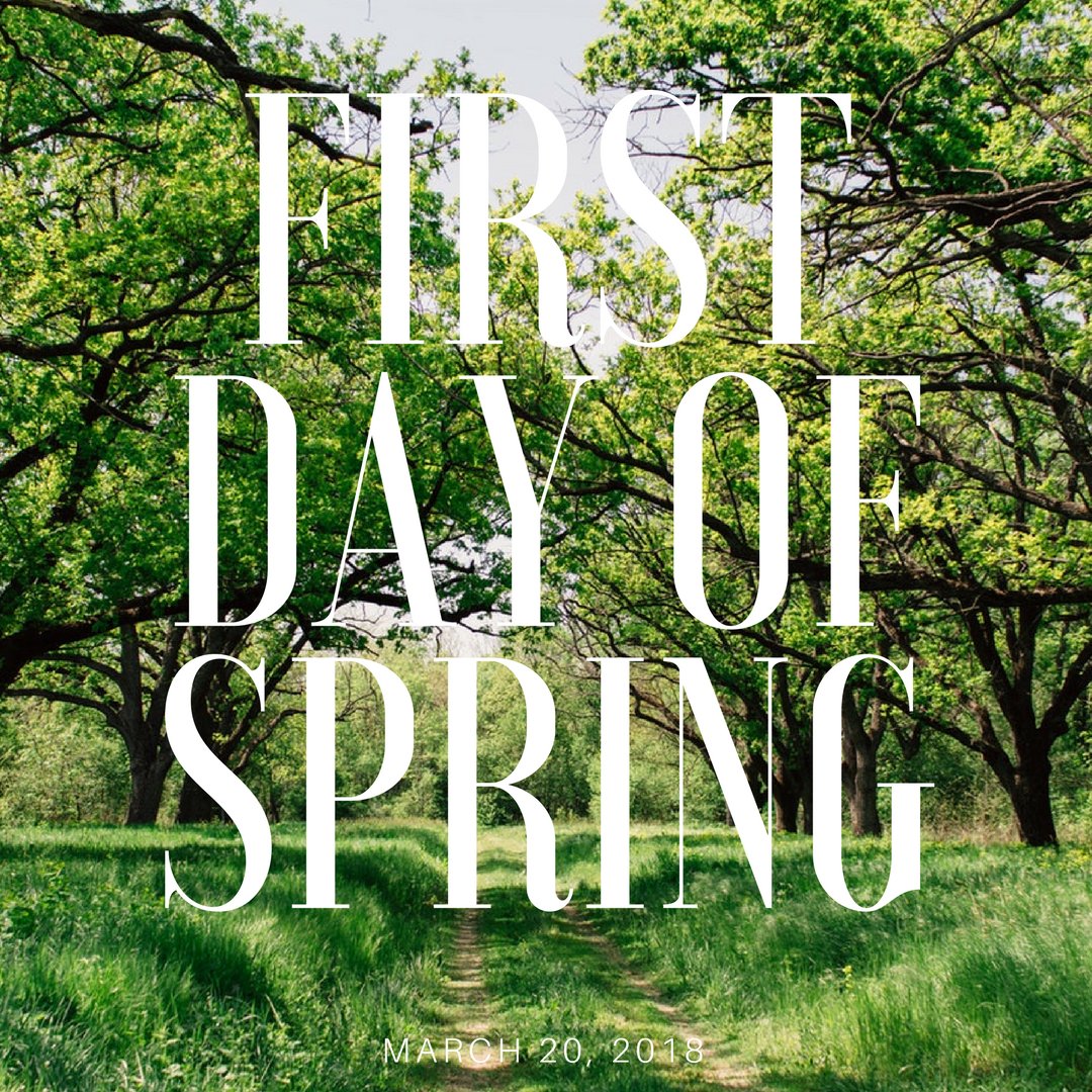 RobillardPlumb's tweet photo. Though it may not feel like it outside, today is the #FirstDayofSpring! What are you most looking forward to about this season? https://t.co/yE1BDZy4j9