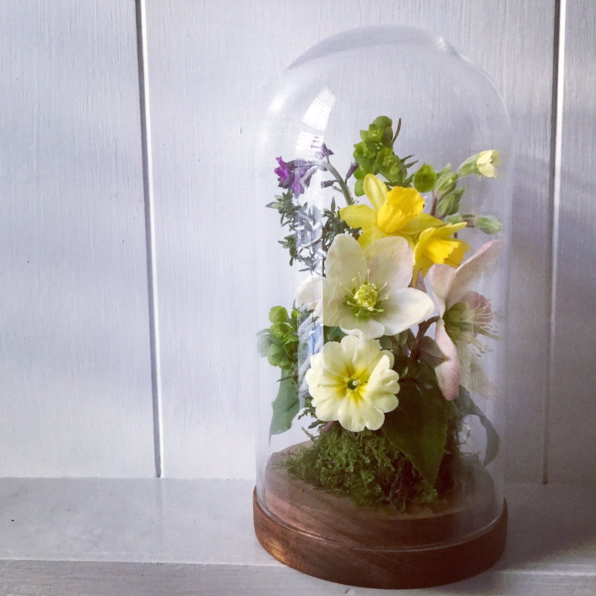 KellyandHicks's tweet photo. So today is officially the first day of Spring &amp; what joy to be out in the garden doing some tidying up! I couldn't help bringing some of the outside in to keep me smiling, so here is our garden in miniature.
#SpringEquinox2018 #miniaturegarden #HappySpring https://t.co/pRwsOZCMJo