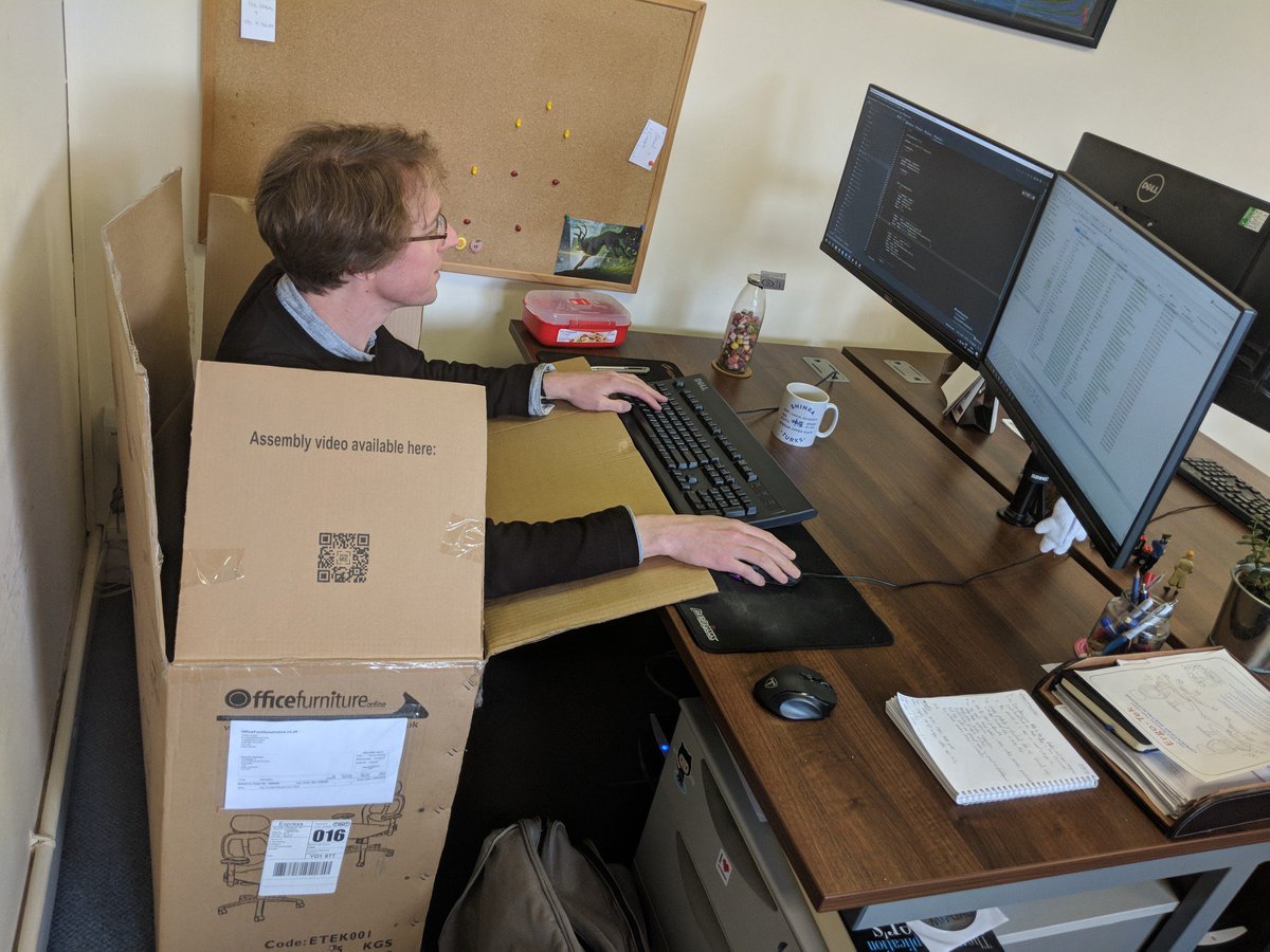 CastlegateIT's tweet photo. Honestly. You buy a developer an expensive new chair and they're more interested in the cardboard box #developersarecats. https://t.co/FbCsbMuGm0