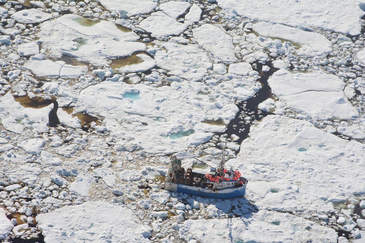 seawomenexpeds's tweet photo. Arctic sea ice becoming a spring hazard for North Atlantic ships: Researchers @umanitoba say natural ice dams in narrow channels like #LancasterSound and #NaresStrait are collapsing due to #climatechange, sending a record amount of ice southwards @theAGU https://t.co/M1nTxAJhPZ https://t.co/hXhabRPLk4