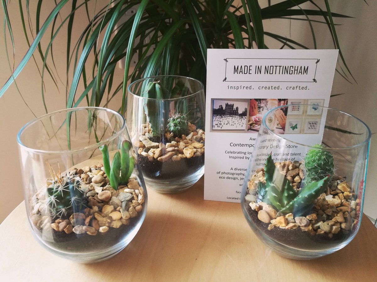 Small Terrariums, £14 from <a href="/Madein_Nottm/">Made in Nottingham</a> 🌵🌱 

#terrariums #cactus #succulent #houseplant #etsy #etsyuk #handmade #madeinnottingham #madeinnottingham #gift #discoverunder1k