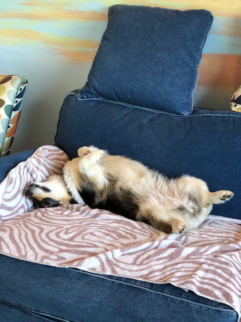 Stephen King tweet media