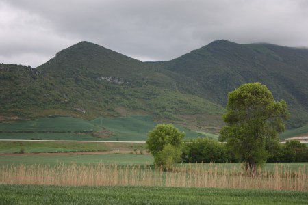 NavarrutePhoto's tweet photo. Días nublados... #pamplona #iruñea @igersnavarra @YoSoyFotografo #PintoFotografia @igerspamplona #landscape #Instagram
#Navarra #verde #green #Stormy más en nuestro blog https://t.co/Thw2qB9ZRo