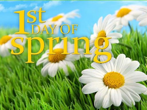 cjacksonmedia's tweet photo. 🌱🌼🌻🌞☔ https://t.co/1gvWkcm6tZ