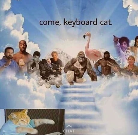 VodkaSchnip's tweet photo. #RIP #KeyboardCat #legendarycat https://t.co/a36pgwFDzO