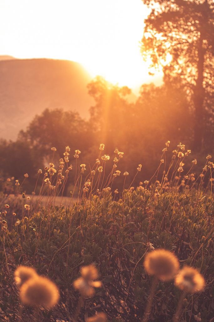 GypsyYogis's tweet photo. Celebrate #SpringEquinox with us today. 🌻 12:30pm Flow, 5:30pm HIIT, 7pm Vinyasa. https://t.co/BjfxLgL3OU