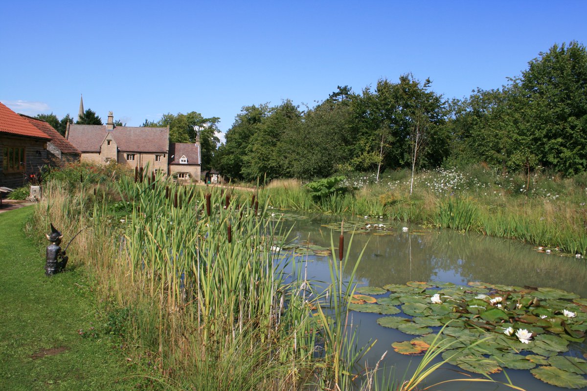 TythorneGD's tweet image. OK, so this one is rather special. Read how we created a fantastic rural retreat (complete with two large ponds, 'wild flower' meadow and over 100 new trees) for a delightful customer near Grantham: 

tythorne.com/blog/garden-de…