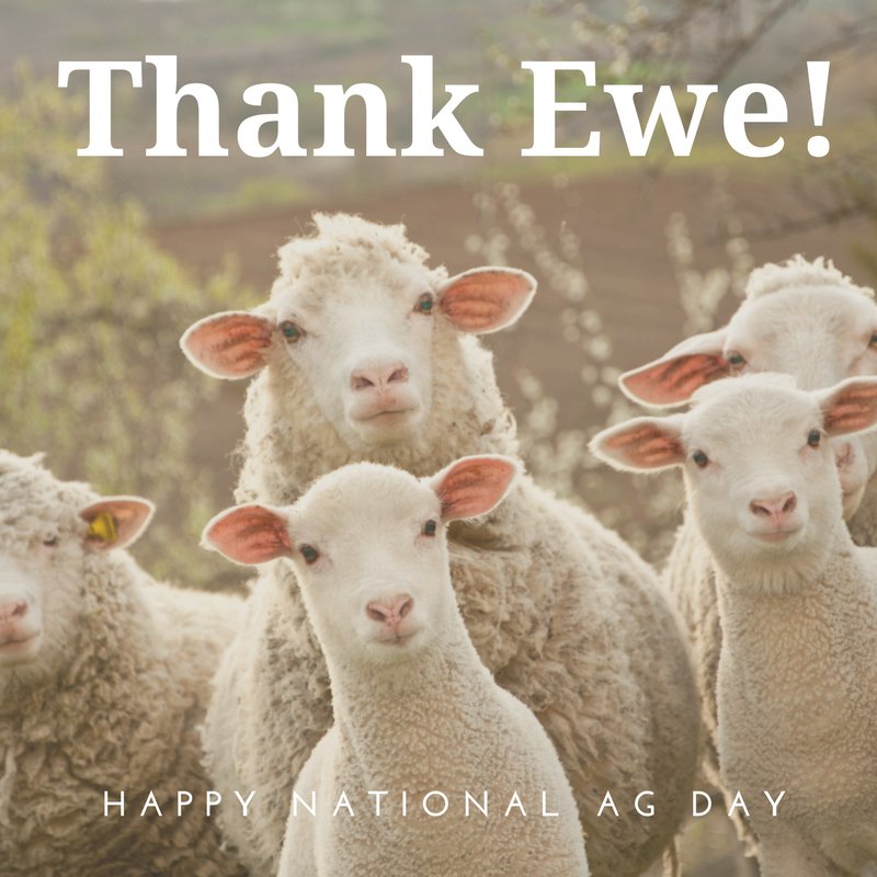 To every American farmer and rancher; thank you for all that you do to make safe and affordable food, fuel and fiber each day. Happy #NationalAgDay !