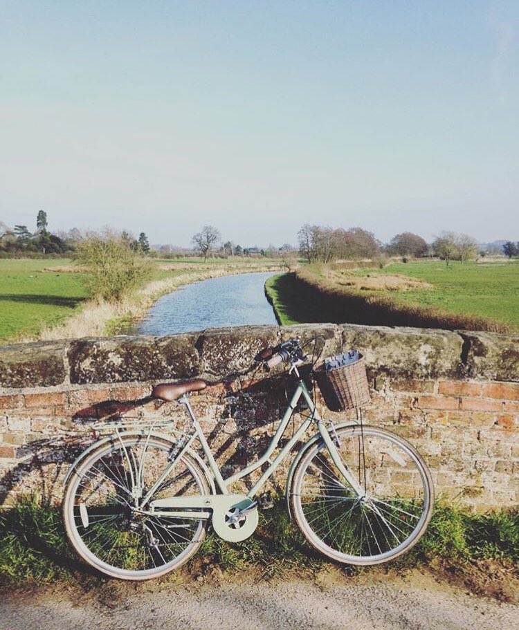 The thoughts of spring bring such joy. To hear the birds chirp, to see the hedgerows, trees and flowers bloom and become wild, and to ride my bicycle in beautiful golden light along country lanes. #SpringEquinox