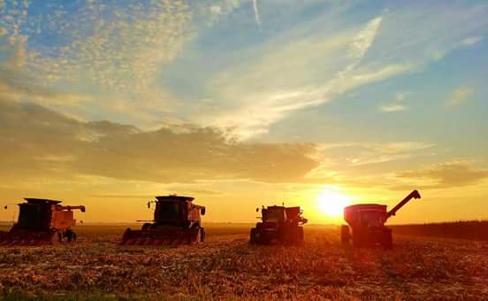 DanitaBlackwood's tweet photo. For Farmers and Ranchers, Rural Internet Is More Crucial than Ever Before
https://t.co/DNOaUzKaBm @HannibelNet @HCP_Trevor #DataDesert #technology #farming #business #agribusiness https://t.co/Jmo2O4XZE0