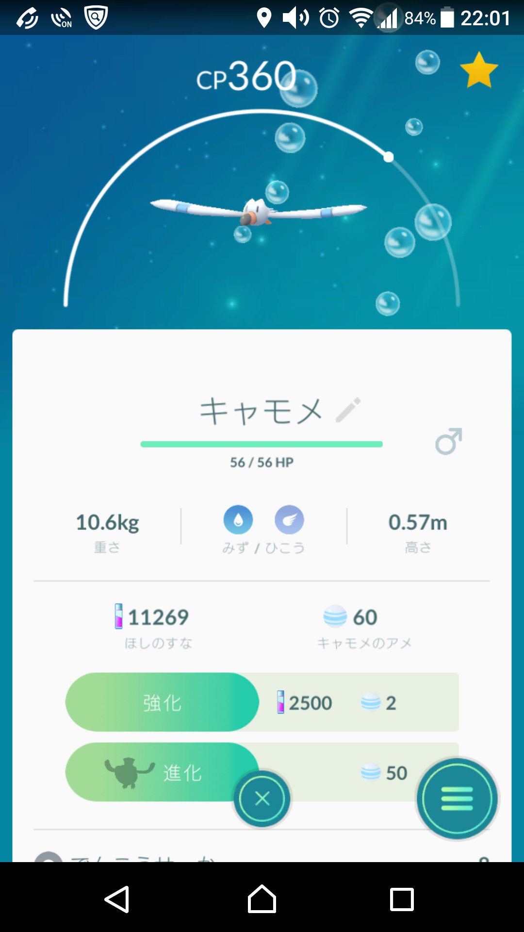 Tricra3 最近の キャモメ 孵化ラッシュにより やっと ペリッパー に進化できた Pokemongo ポケモンgo T Co Sa3js80msr Twitter