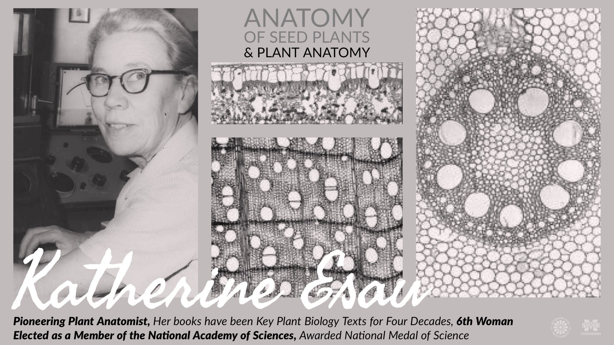 Geoff Denny On Twitter Katherine Esau Taught Plantanatomy To Generations Of Plantgeeks Her Texts Anatomy Of Seed Plants Plant Anatomy Used In Courses For 40y We Re Highlighting Women Who Changedthewaywegarden Womenshistorymonth