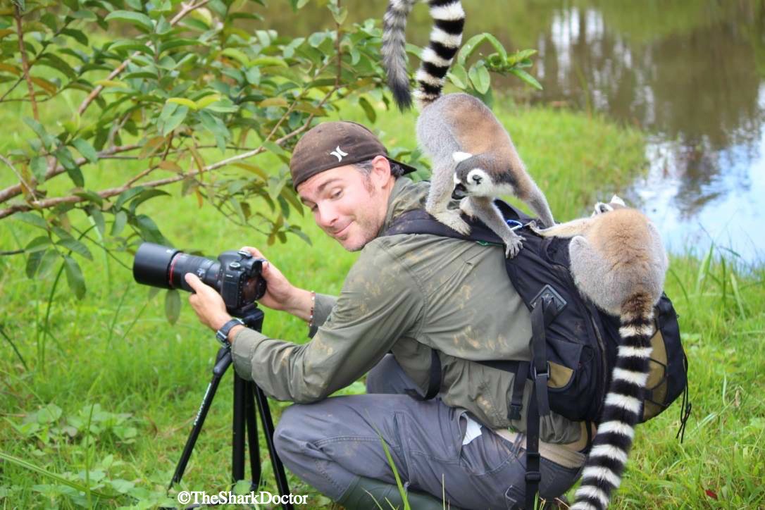 My subjects just didn’t want to cooperate on this day…but I didn’t mind.  

#madagascar #lemurs #ringtailedlemurs #andisibe #sharkweek #discovery #nature #photography #lemurisland #NatGeoKids