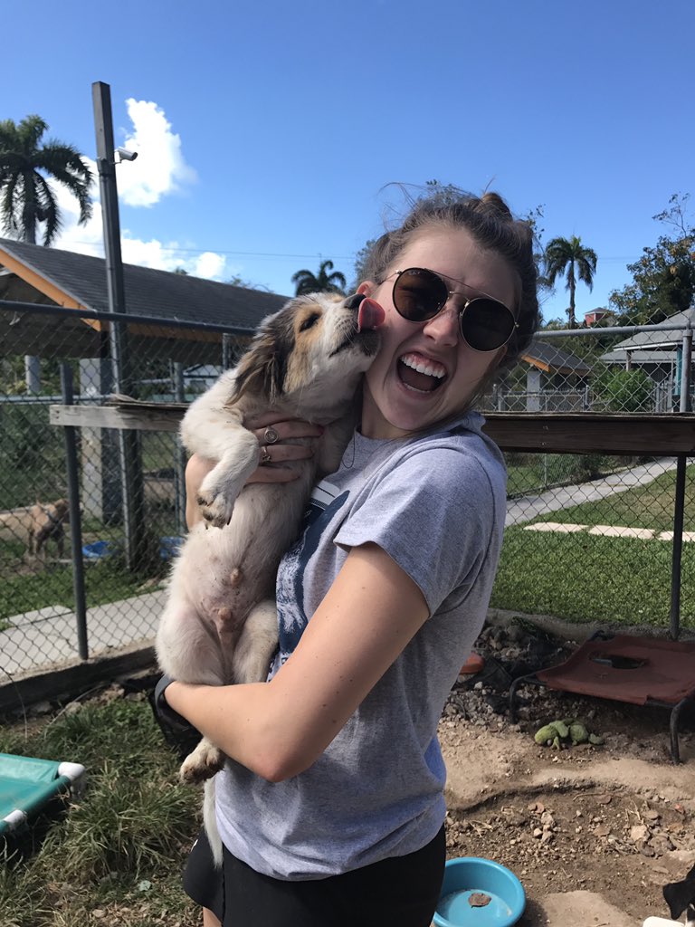 whereveritlands's tweet photo. Oh, and lots of puppy kisses. #InternationalDayOfHappiness https://t.co/U7Mb5yjXFW