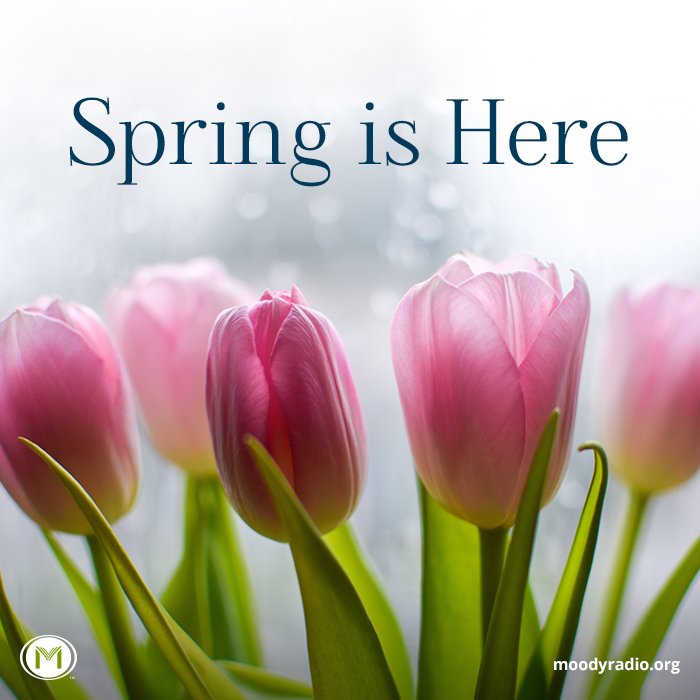 MoodyRadioAL's tweet photo. Spring is a time of peace, a time of renewal. May God’s promise of a new life in Christ shine ever brighter this season. #FirstDayOfSpring https://t.co/9kzhrN4utr