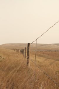 AgeinPlaceNE1's tweet photo. NAHB Settlement Clarifies ‘Critical Habitat’ for Endangered Species https://t.co/gKZNCr47oa #ageinplace https://t.co/3TSQyT2xgX
