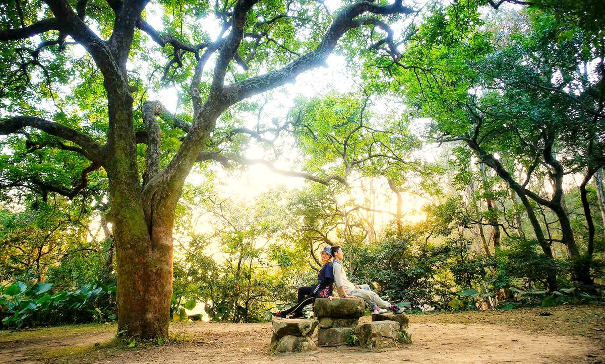 dancingcorinna's tweet photo. I know that I can lean on you. Thk u nurturing a safe place of tranquil peace &amp; rest by your totally honesty &amp; complete trust which is all rooted in selfless love. 
#leanonme #itrustyou
#i'vegotyourback #hiking #buildastrongmarriage #hk #travellingcouple #couplegoals #travel https://t.co/ge05KsHmXx